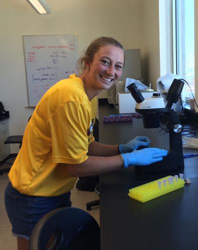 Student Researcher in lab looking through dissecting microscope